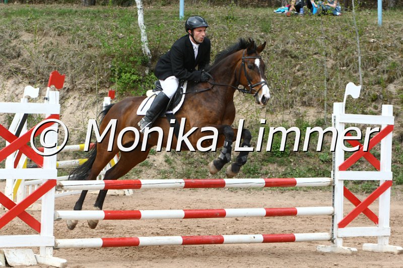 204M0488_Guardian Angel_Spring_Ax.JPG